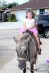IMG_7734e.jpg
